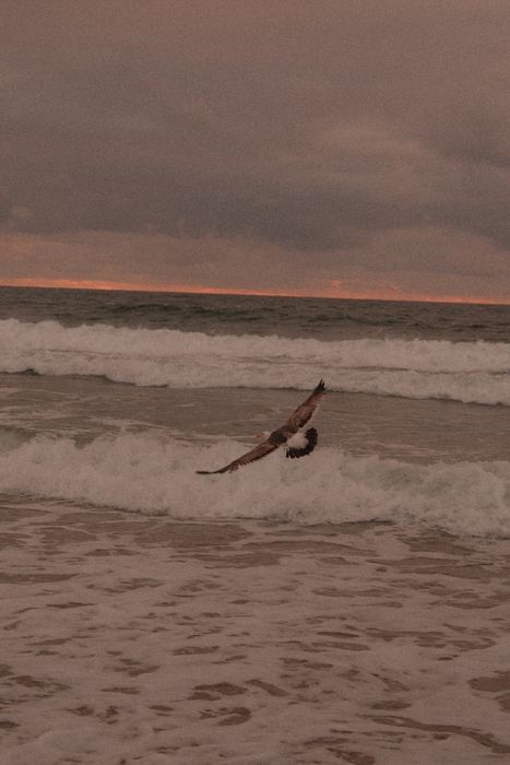 Photograph 5
