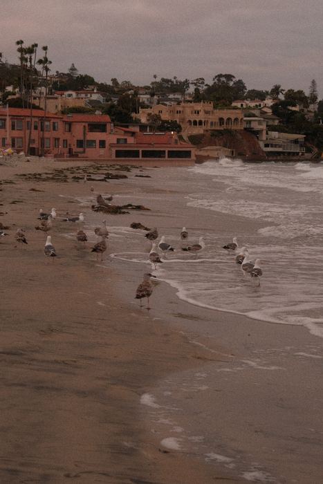 Photograph 6