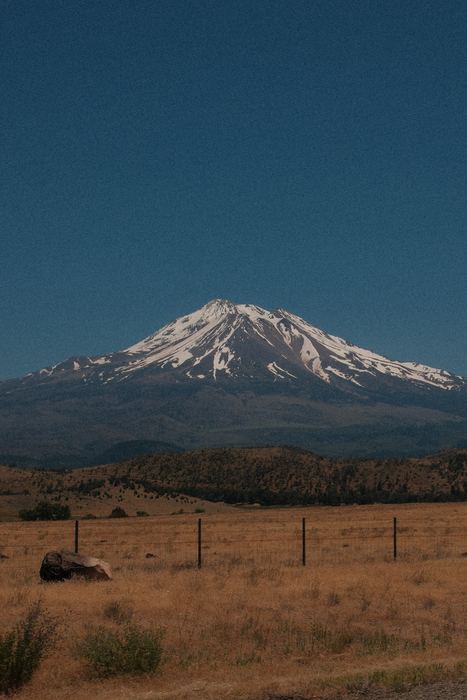 Photograph 15