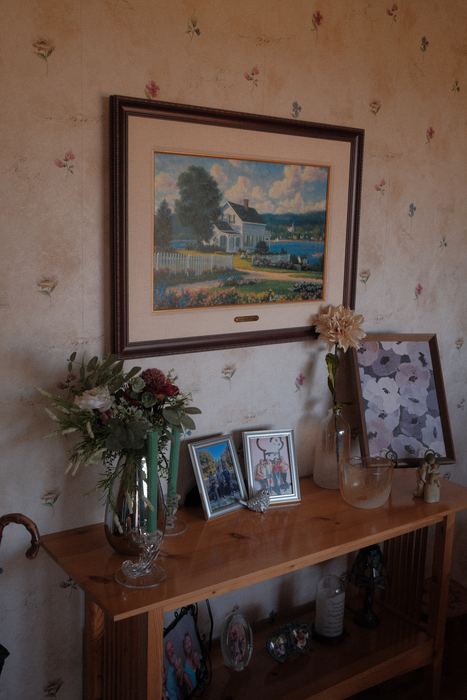 Photograph 17
